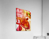 Etrange impression  Acrylic Print