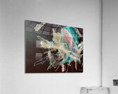 Eclosion  Acrylic Print