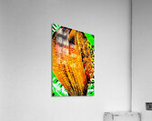 Abandon  Acrylic Print