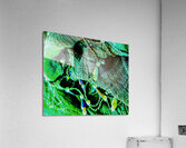 Bijoux  Acrylic Print