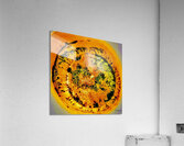 Reconfort  Acrylic Print