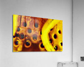 Trouee  Acrylic Print