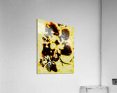 Fleur stylisee  Acrylic Print