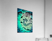 Granuleux  Acrylic Print