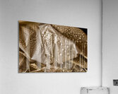 Transparence de l’eau  Acrylic Print