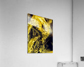 Feuille d’or Acrylic Print