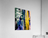 Abstraction  Acrylic Print