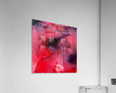 Pouliche  Acrylic Print