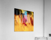 Tullerie  Acrylic Print