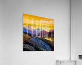 Terre aride Acrylic Print