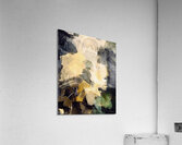 Sublimation  Acrylic Print