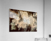 Spin  Acrylic Print