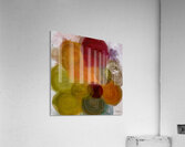 Spinaux  Acrylic Print