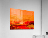 Flamboyant  Acrylic Print