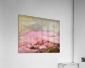 Cime enneigee Acrylic Print