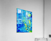 La-haut  Acrylic Print