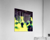 Spirales  Acrylic Print