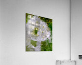 Bouquet  Acrylic Print