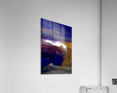 Neige eternelle  Acrylic Print