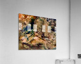 Le poisson effraye  Acrylic Print