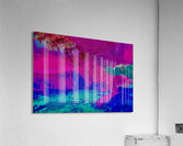 La rosee  Acrylic Print