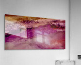 Violettes  Acrylic Print