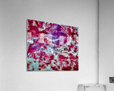 Vifs Acrylic Print