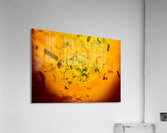 Amusement  Acrylic Print