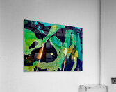 Territorial  Acrylic Print