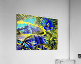 Marina  Acrylic Print