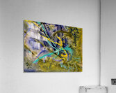 Carrefour  Acrylic Print