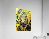 Abstraction II Acrylic Print