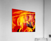 Mademoiselle  Acrylic Print