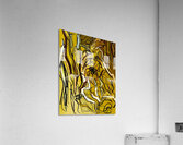 Tracas Acrylic Print