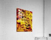 Abstraction  Impression acrylique
