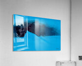 Iceberg Acrylic Print