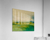 Vaste paysage  Acrylic Print