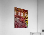 Fantaisie  Acrylic Print