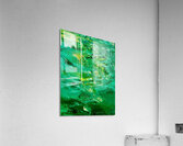 Algues vertes Acrylic Print