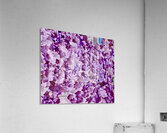 Lierre Impression acrylique