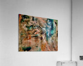 Confidence  Acrylic Print