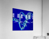 Ancrage Acrylic Print
