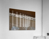 Arrivee des bernaches  Acrylic Print