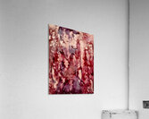 Effacee  Acrylic Print