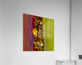 Verticalite  Acrylic Print