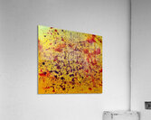 Constellation  Acrylic Print
