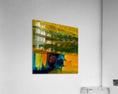 Artefacts Acrylic Print