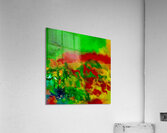 Abstraction  Acrylic Print