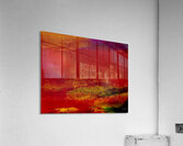 Sans horizon  Acrylic Print