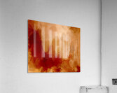 Abstraction  Acrylic Print